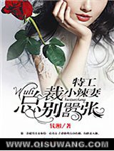特工小辣妻：wuli总裁别嚣张！图片