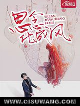 《思念化成风》全本TXT下载-作者：陆云琛顾婉霜