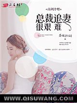 《高调冷婚，总裁追妻很艰难》全本TXT下载-作者：乔木