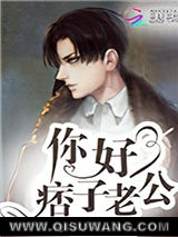 《你好，痞子老公》全本TXT下载-作者：傅九