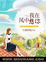 《我在风中想你》全本TXT下载-作者：白猫胖墩