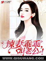 《辣妻乖乖，叫老公！》全本TXT下载-作者：涩涩爱