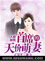 《入骨暖婚：首席的天价萌妻》全本TXT下载-作者：宝主