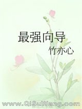 《最强向导》全本TXT下载-作者：竹亦心