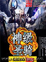 《神级圣骑》全本TXT下载-作者：一枕孤梦