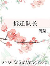 拆迁队长小说