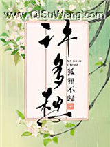 许多愁小说