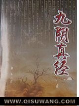 《九阴真经》全本TXT下载-作者：庸木