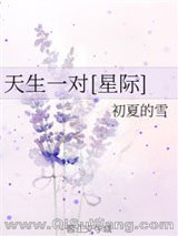 《天生一对[星际]》全本TXT下载-作者：初夏的雪