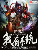 《暗黑之我有系统》全本TXT下载-作者：00紫枫00