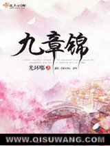 《九章锦》全本TXT下载-作者：光环嘟