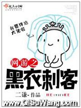 《网游之黑衣刺客》全本TXT下载-作者：二谦