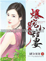 《重生八零：爆宠小甜妻》全本TXT下载-作者：顾盼流连
