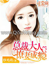 《总裁大人撩妻成瘾》全本TXT下载-作者：炒鸡萌