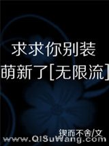 《求求你别装萌新了[无限]》全本TXT下载-作者：锲而不舍