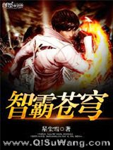 《智霸苍穹》全本TXT下载-作者：星尘雪