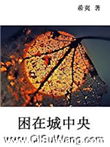 困在城中央图片