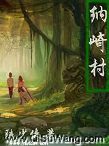 纳崎村小说