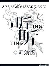 听听小说
