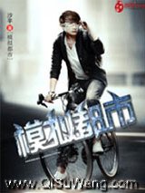 《模拟都市》全本TXT下载-作者：沙平