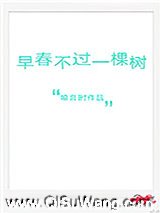 早春不过一棵树图片