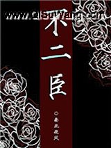 不二臣小说