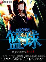 《怪物的篮球》全本TXT下载-作者：再见亦不相见