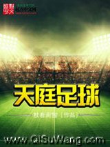 《天庭足球》全本TXT下载-作者：杖看南雪