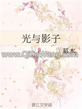 《光与影子》全本TXT下载-作者：幕木
