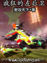 《疯狂的左后卫》全本TXT下载-作者：激浪天下
