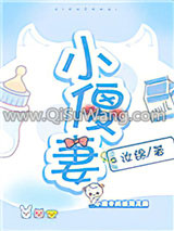 《小傻妻》全本TXT下载-作者：汝锦