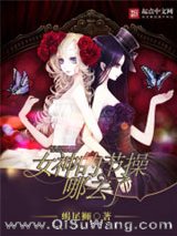 《女神的节操哪去了》全本TXT下载-作者：蝎尾狮