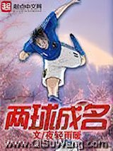 《两球成名》全本TXT下载-作者：夜轻雨暖