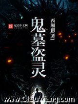 鬼墓盗灵小说