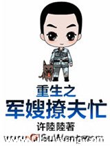 《重生之军嫂撩夫忙》全本TXT下载-作者：许陸陸