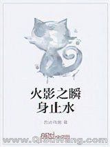 《火影之瞬身止水》全本TXT下载-作者：西边乌蒙