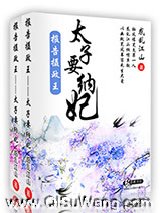 报告摄政王之太子要纳妃图片