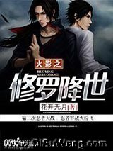《火影之修罗降世》全本TXT下载-作者：花开无月