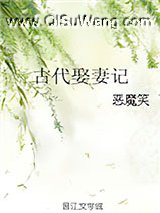 古代娶妻记小说