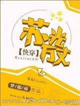 《苏光万丈》全本TXT下载-作者：梦廊雨