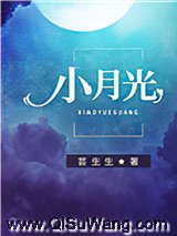 《小月光》全本TXT下载-作者：芸生生