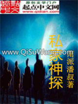 《私家神探》全本TXT下载-作者：南派潘叔
