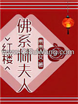 《[红楼]佛系林夫人》全本TXT下载-作者：青青小艾