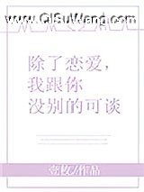 除了恋爱，我跟你没别的可谈小说