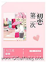 《第二次初恋》全本TXT下载-作者：大江流