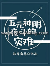 《[综]五元神明的灾难》全本TXT下载-作者：彼岸有马