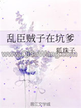 《乱臣贼子在坑爹》全本TXT下载-作者：狐珠子