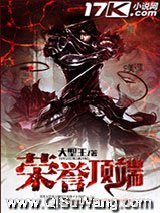 荣誉顶端小说