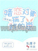 《暗恋对象揣了我的崽[娱乐圈]》全本TXT下载-作者：车厘子