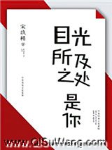 《目光所及之处是你》全本TXT下载-作者：宋玖槿